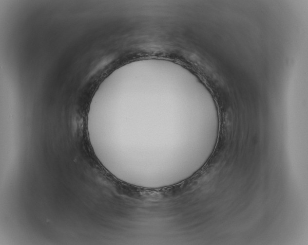 X0000111951302200908171309