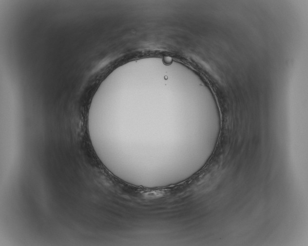 X0000111951303200908171309