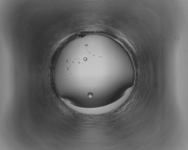 X0000111951304200908171309