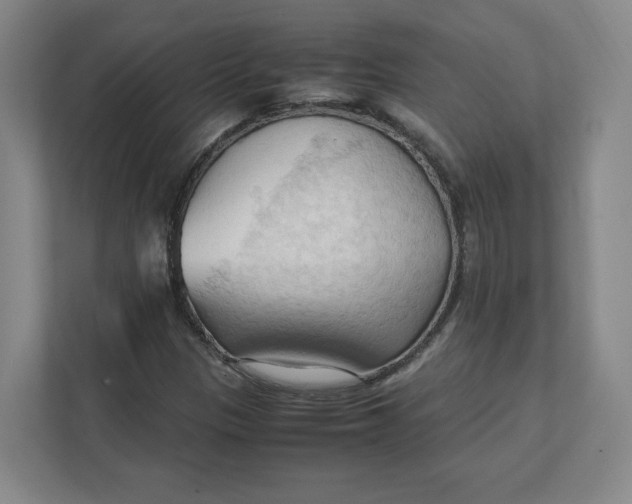 X0000111951305200908171309