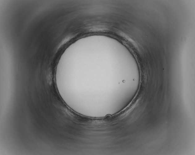 X0000111951306200908171309