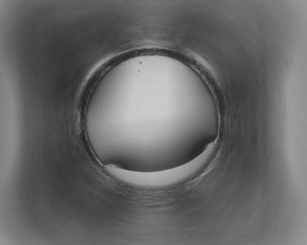 X0000111951310200908171309