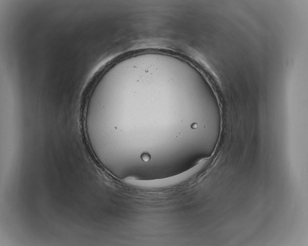 X0000111951312200908171309