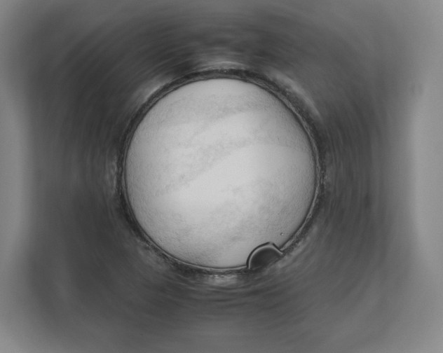 X0000111951313200908171309