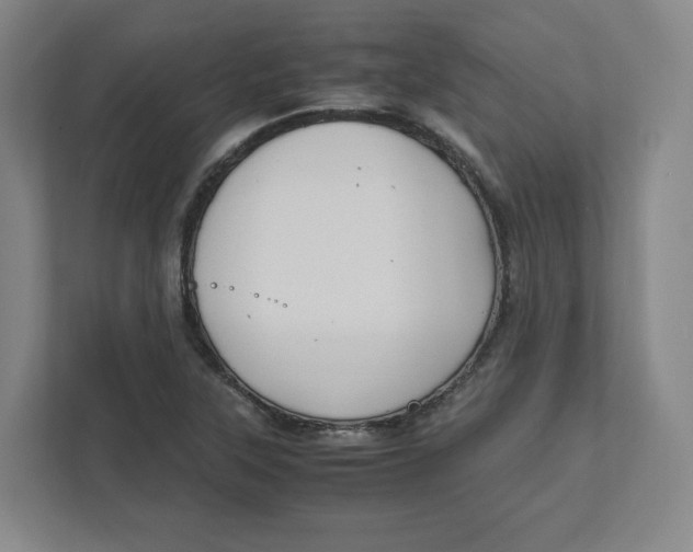 X0000111951315200908171310