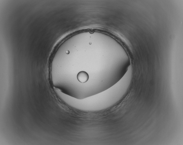 X0000111951316200908171310