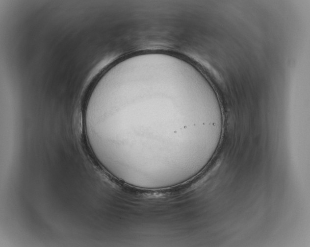 X0000111951317200908171310