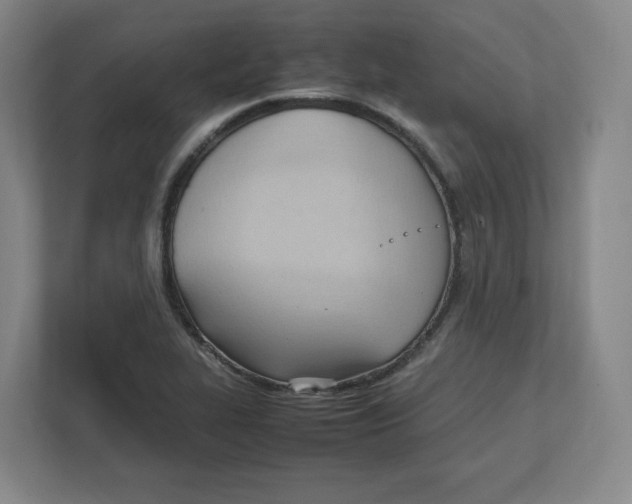 X0000111951319200908171310