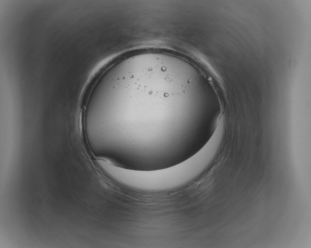 X0000111951320200908171310