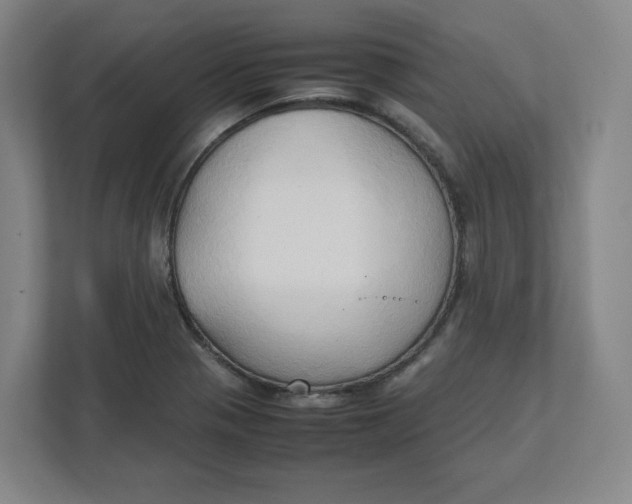 X0000111951321200908171310