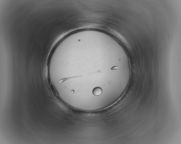 X0000111951324200908171310