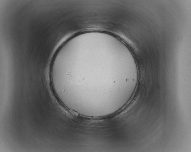 X0000111951325200908171310