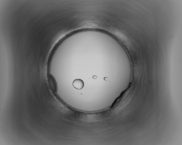 X0000111951326200908171310