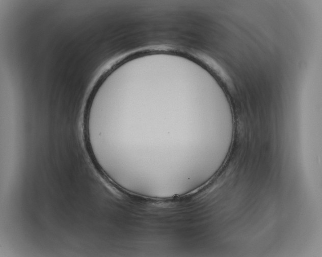 X0000111951327200908171310