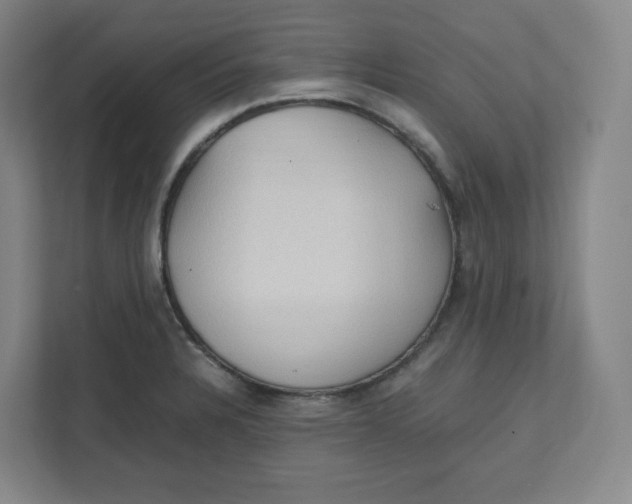 X0000111951328200908171310