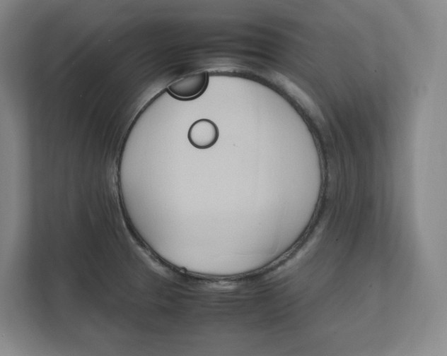 X0000111951329200908171310