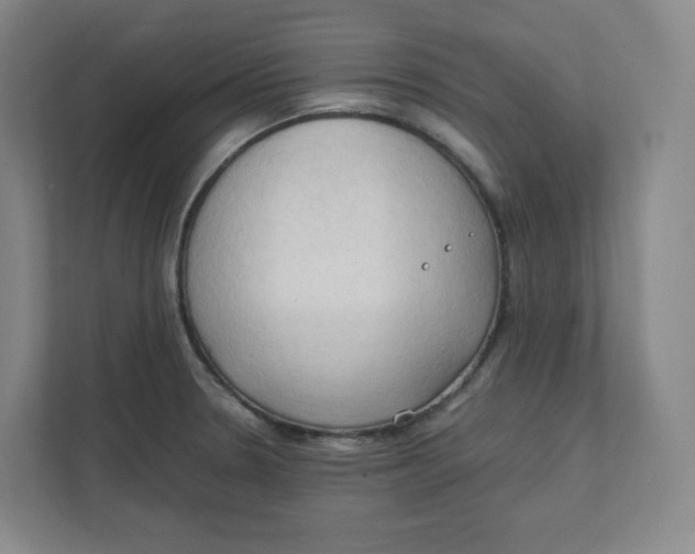 X0000111951330200908171310