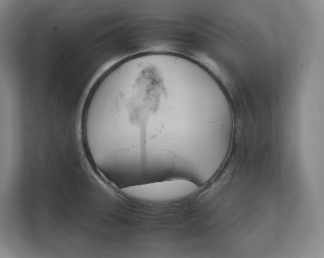 X0000111951331200908171310