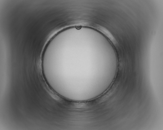 X0000111951332200908171310