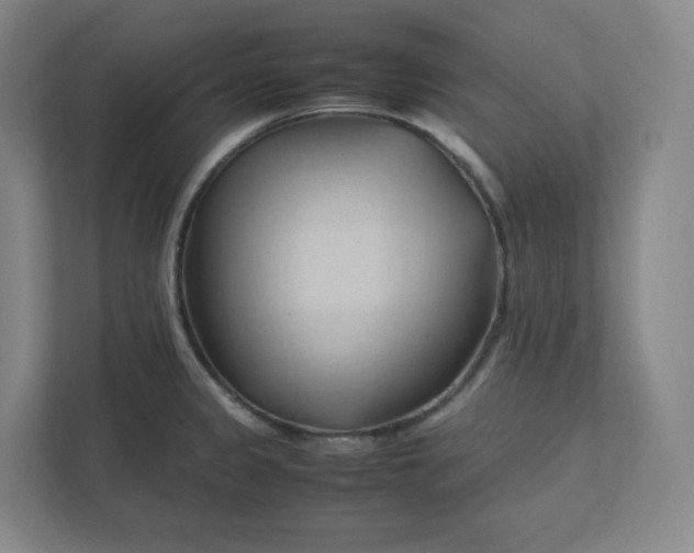 X0000111951333200908171310