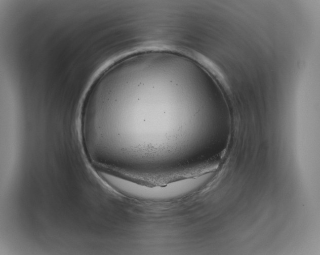 X0000111951334200908171310