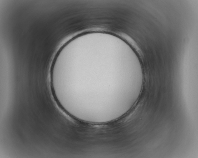 X0000111951335200908171310