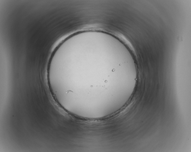 X0000111951336200908171310