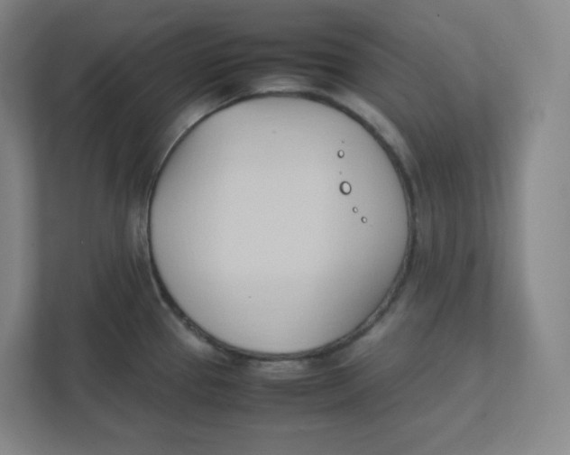 X0000111951337200908171310