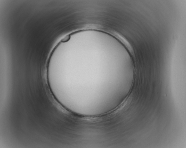 X0000111951340200908171310