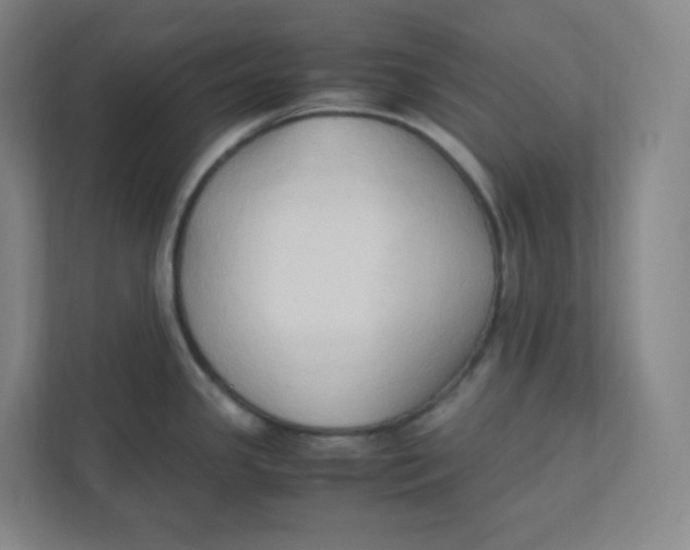 X0000111951341200908171310