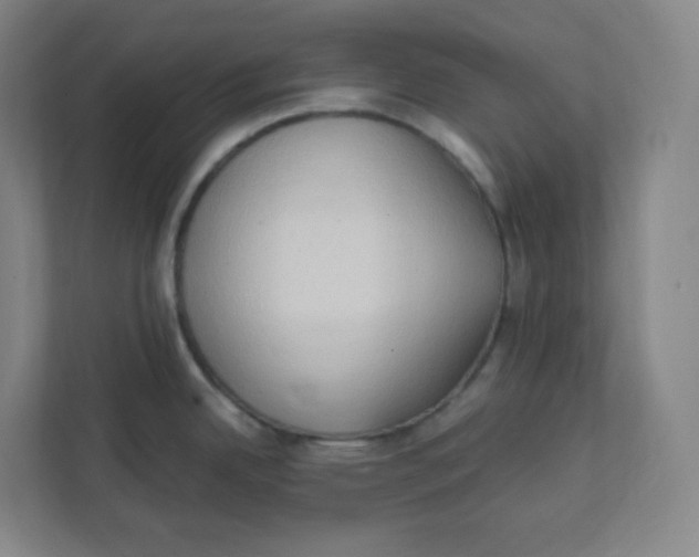 X0000111951342200908171310