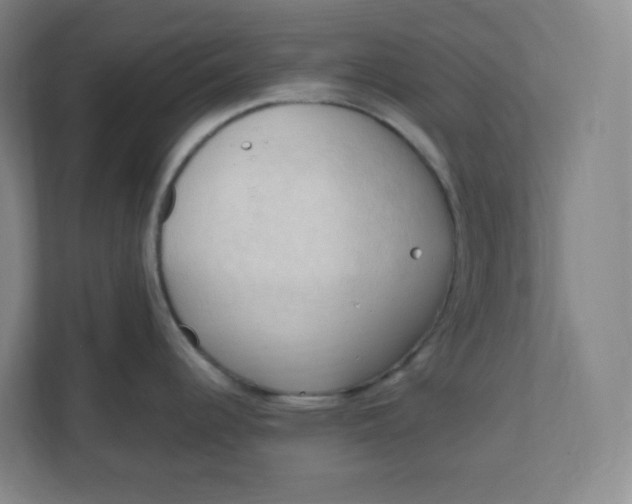 X0000111951344200908171310