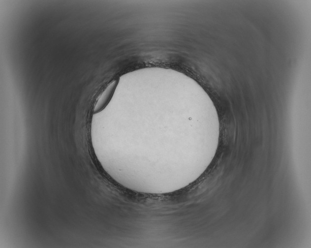 X0000111951345200908171309