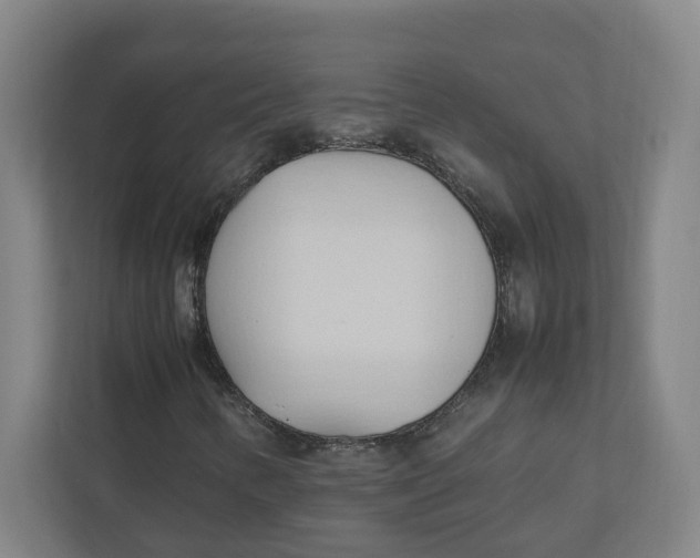 X0000111951346200908171309