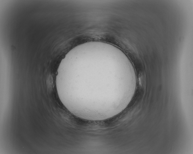 X0000111951347200908171309