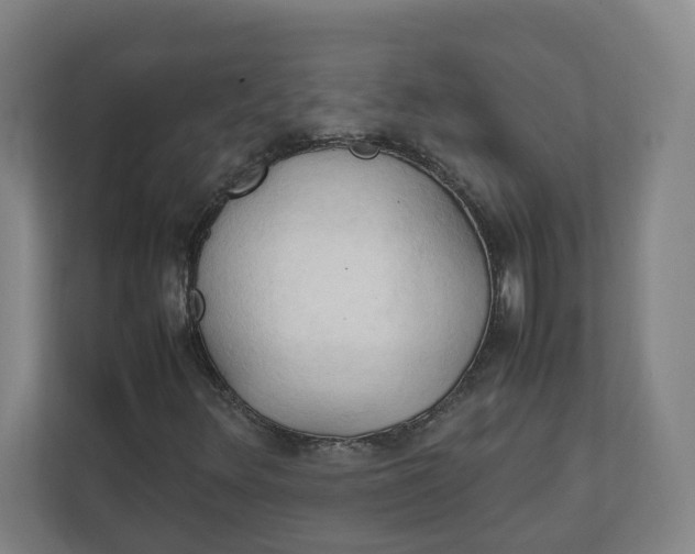 X0000111951348200908171309