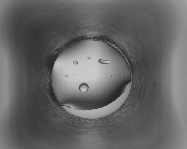 X0000111951349200908171309