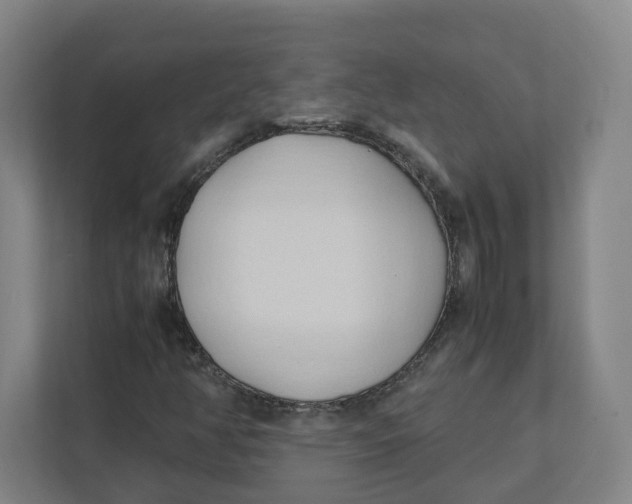 X0000111951350200908171309