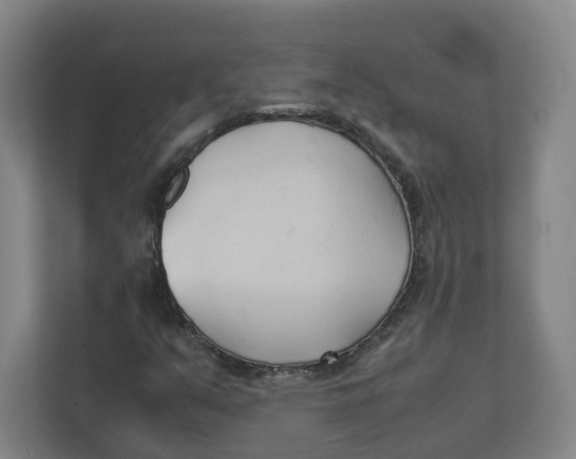 X0000111951351200908171309