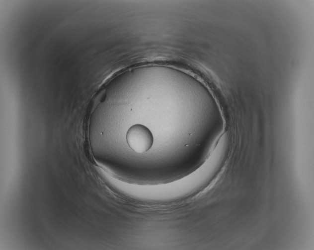 X0000111951353200908171309