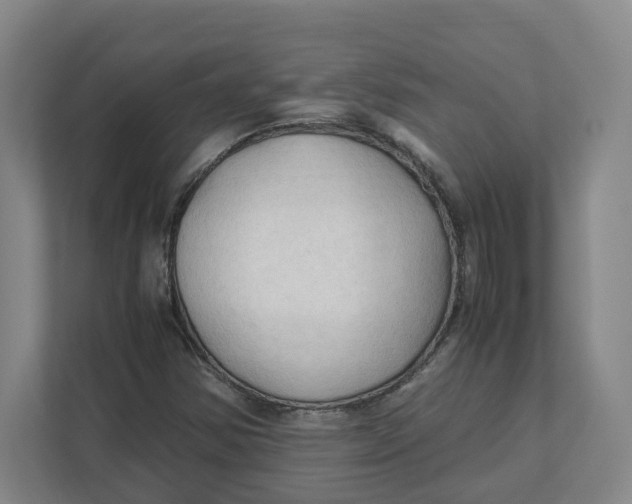 X0000111951354200908171309