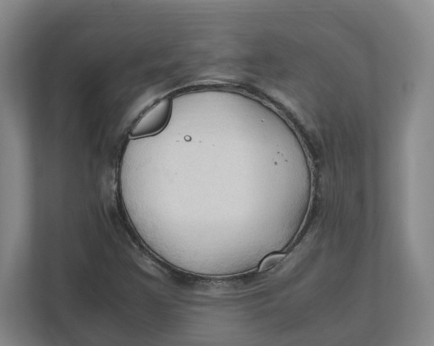 X0000111951355200908171309