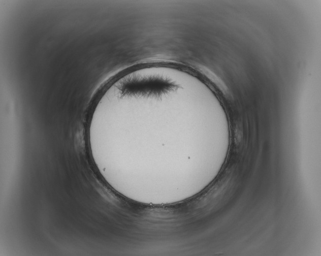 X0000111951356200908171309