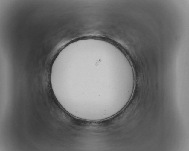 X0000111951359200908171309