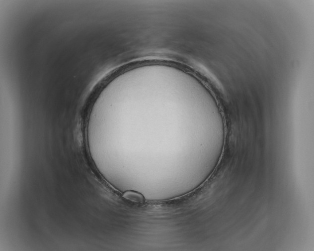 X0000111951360200908171309