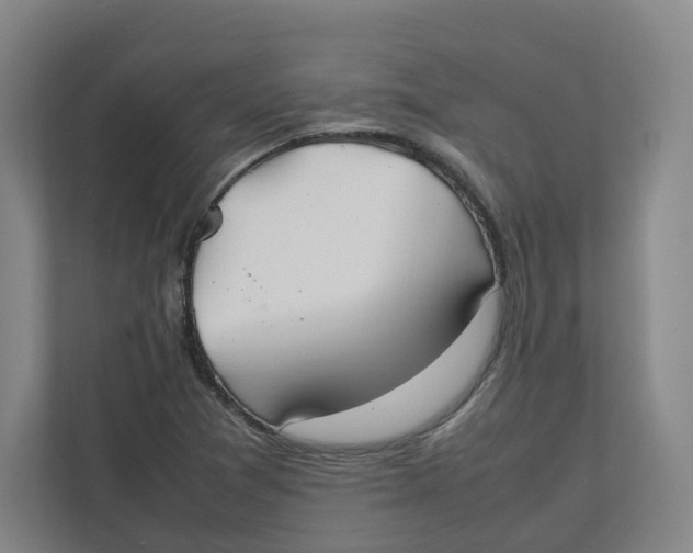 X0000111951361200908171309