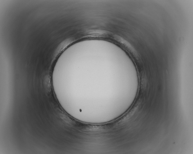 X0000111951362200908171309