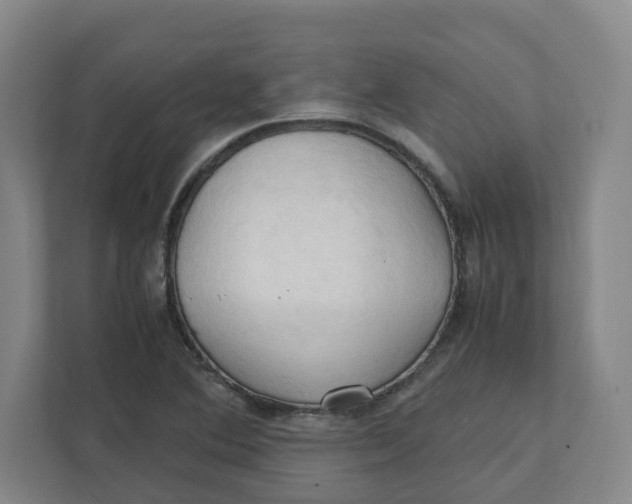 X0000111951364200908171309