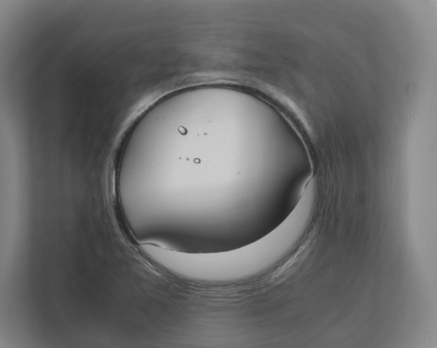 X0000111951365200908171309