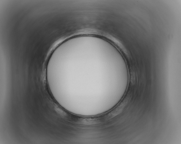 X0000111951366200908171309